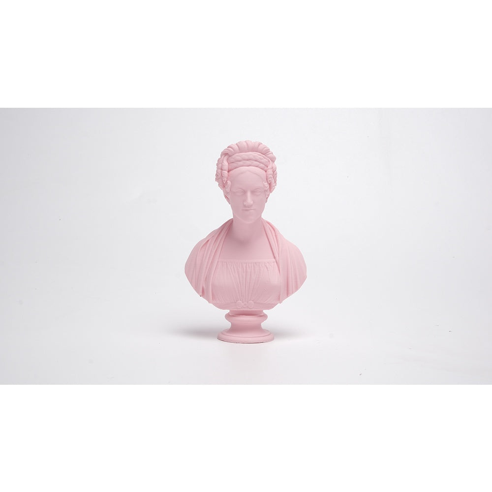 eSUN ePLA Matte 3D Printer Filament 1.75mm 1KG