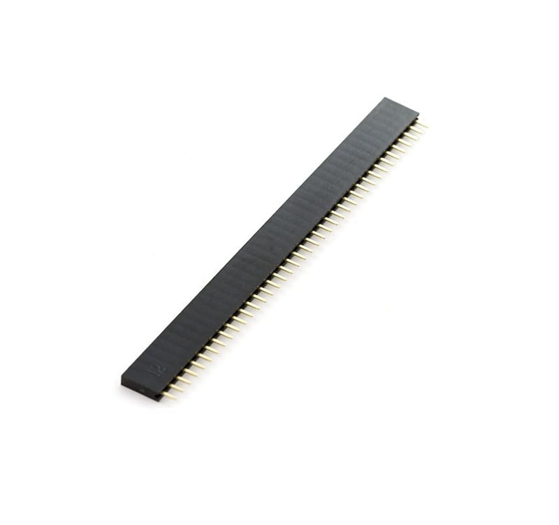 Female Header 40 pin