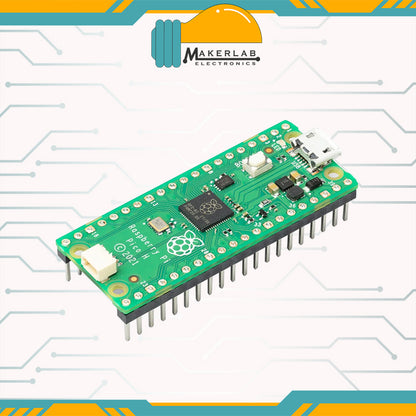 Raspberry Pi Pico RP2040 Microcontroller | Raspberry Pi Pico W